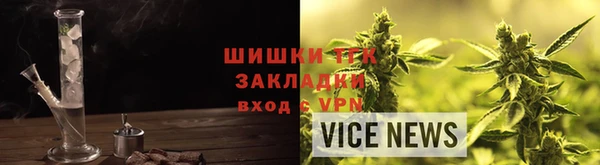 прущие грибы Лагань