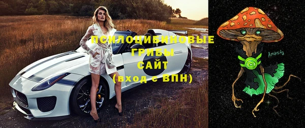прущие грибы Лагань