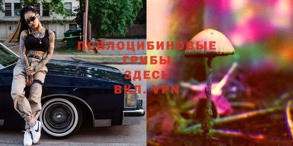гидропоника Лабытнанги