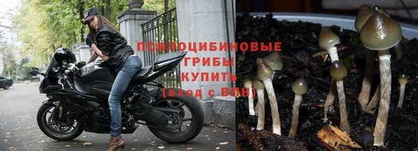 прущие грибы Лагань