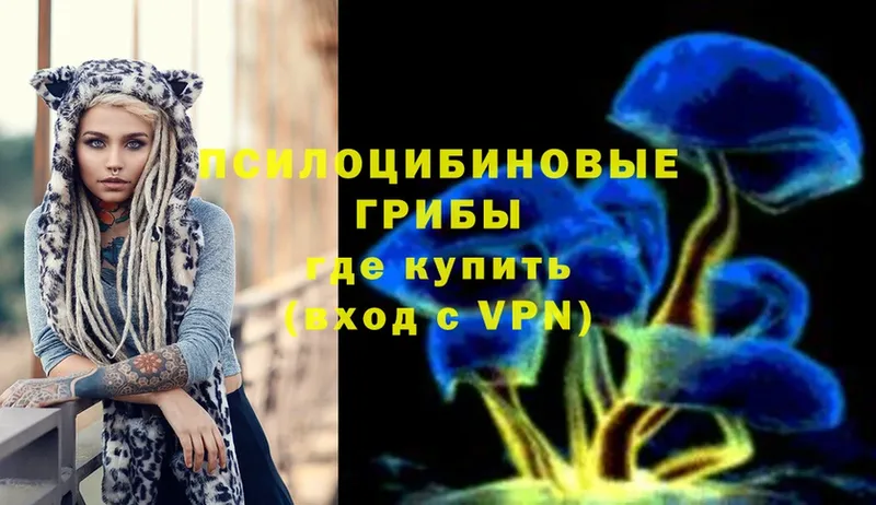 Галлюциногенные грибы GOLDEN TEACHER  Ковылкино 