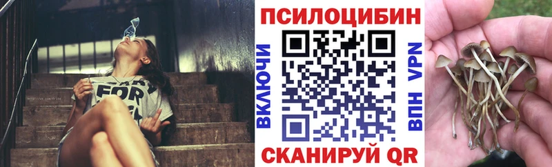 Галлюциногенные грибы Cubensis  Ковылкино 